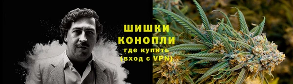 сатива Михайловск