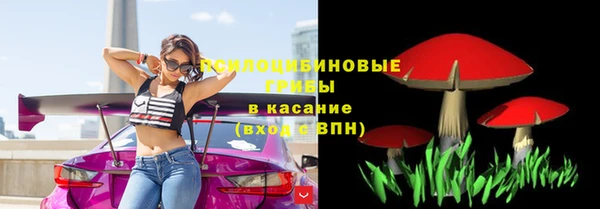 сатива Михайловск