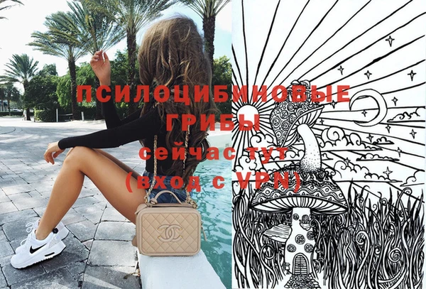 2c-b Михайлов