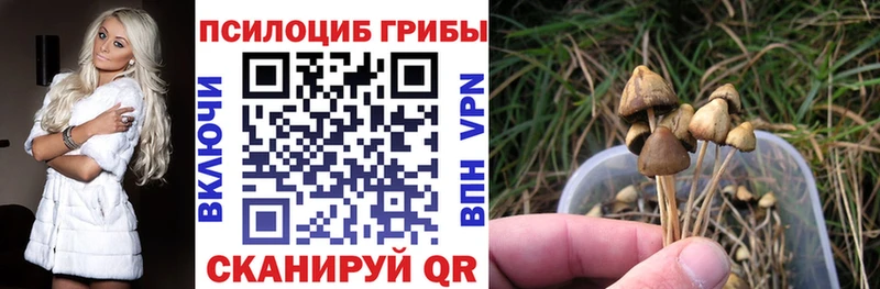 Купить  Калач  Псилоцибиновые грибы GOLDEN TEACHER 